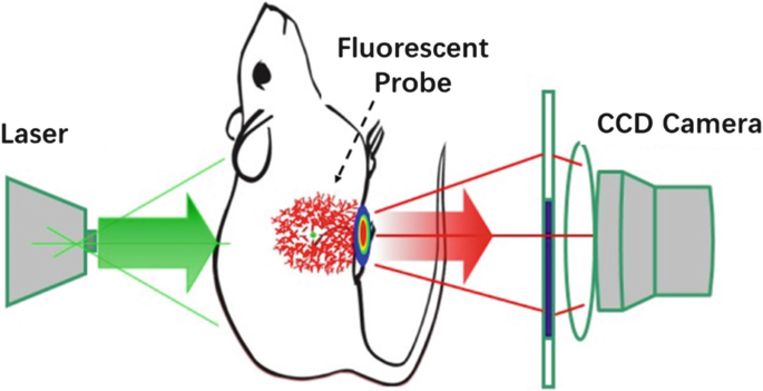 Fluorescence ,laser,camera Fluorescence imaging