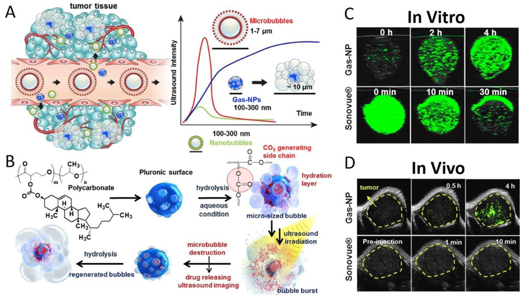 Chemical structure of hydrolysable carbonate copolymer,,Gas-NPs nanoparticles for tumor imaging