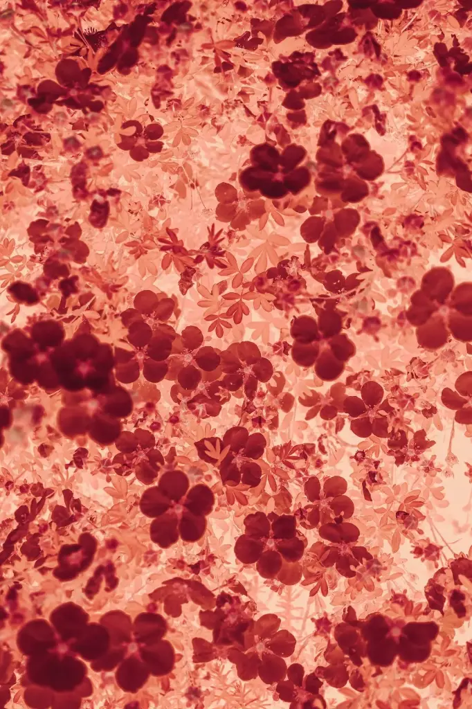 Genomic Approaches to Diagnostic Challenges in Hematological Disorders